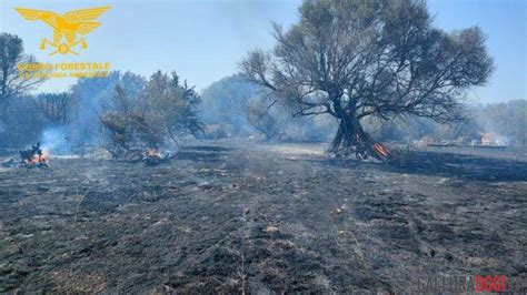 san teodoro cronaca|Violento incendio a San Teodoro, danni ingenti: cosa è successo